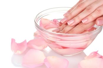 Beautiful female hands and rose petals